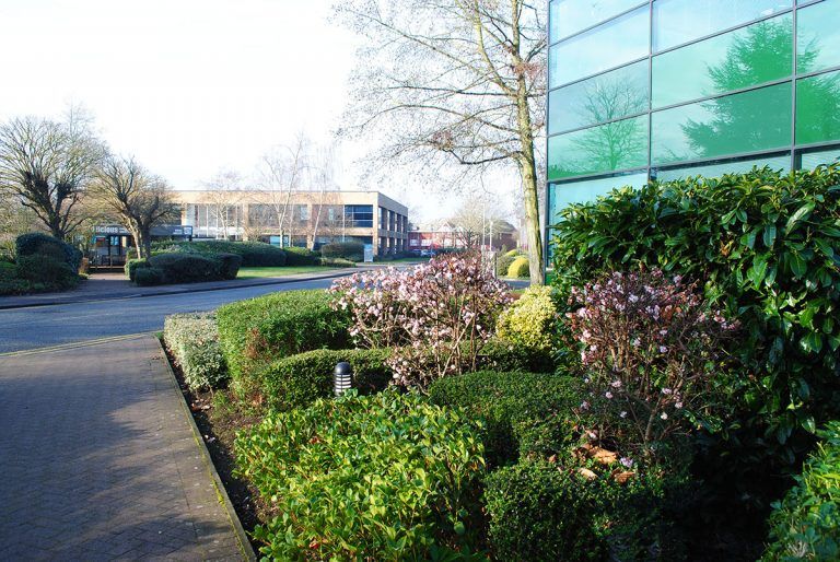 Office landscaping services we provided in Cambridge